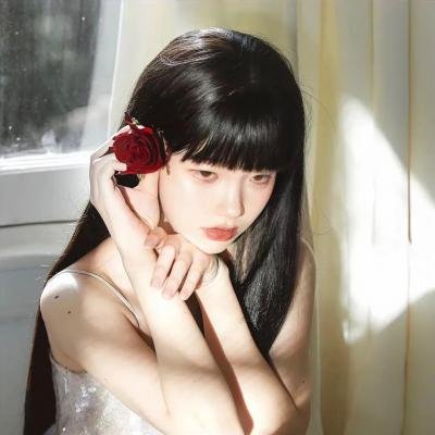 大红花 封面