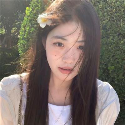 鲨人树儿 封面